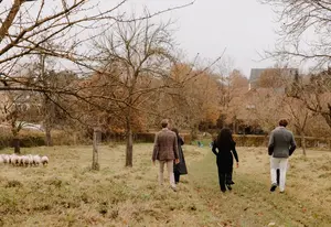 Wandelaars in een boomgaard met schapen